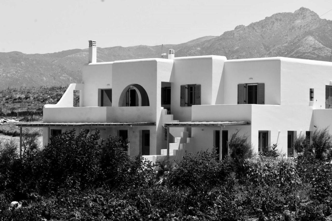 Relaxia Estate Naxos Apartment Galini  ภายนอก รูปภาพ