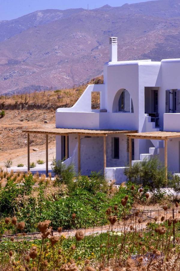 Relaxia Estate Naxos Apartment Galini  ภายนอก รูปภาพ